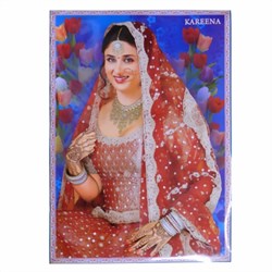 Bild von Poster Kareena Kapoor rot weißer Sari Bollywood Star

