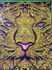 Bild von Tagesdecke Löwe afrikanische Raubkatze, Bild 2